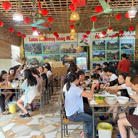 Hang Mua Lotus Homestay Ninh Binh Buitenkant foto