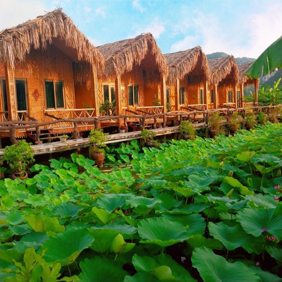 Hang Mua Lotus Homestay Ninh Binh Buitenkant foto