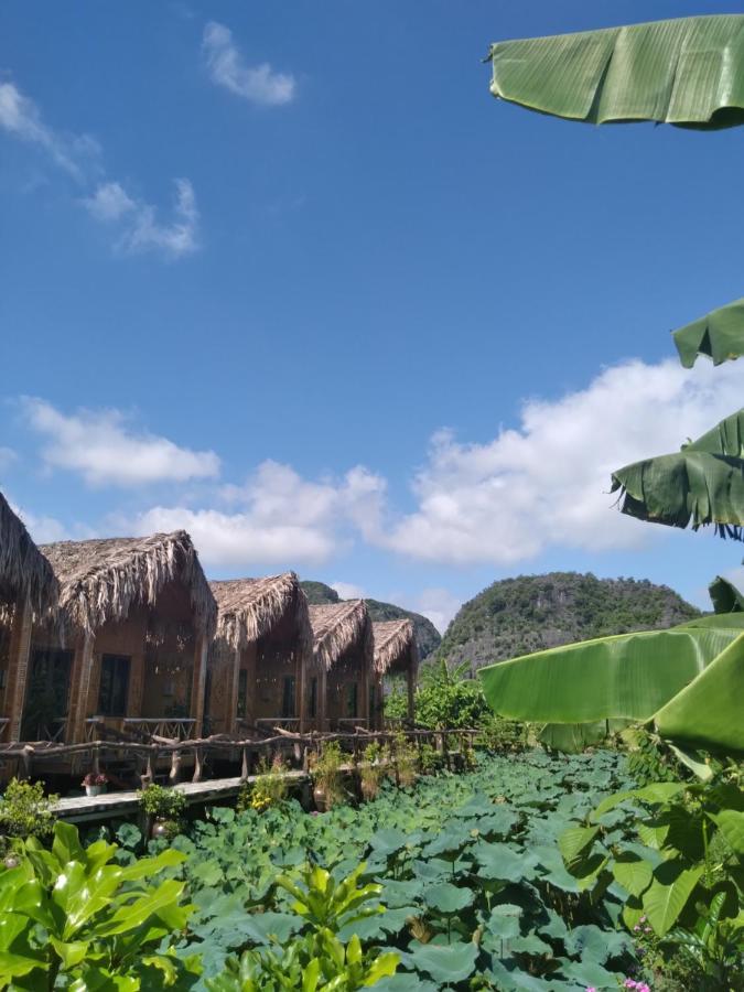 Hang Mua Lotus Homestay Ninh Binh Buitenkant foto