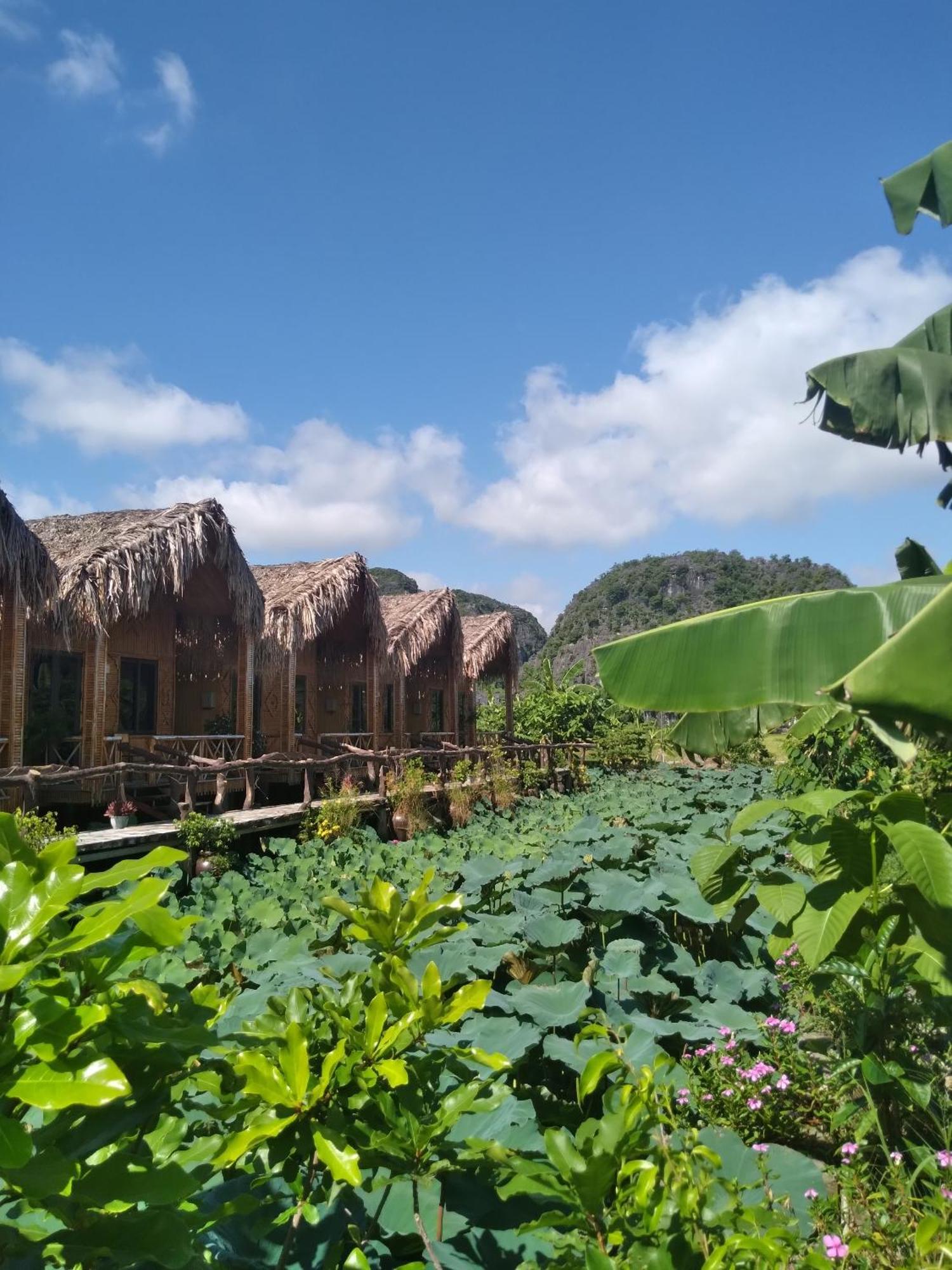 Hang Mua Lotus Homestay Ninh Binh Buitenkant foto